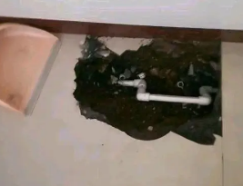 渠县卫生间测漏水多少钱